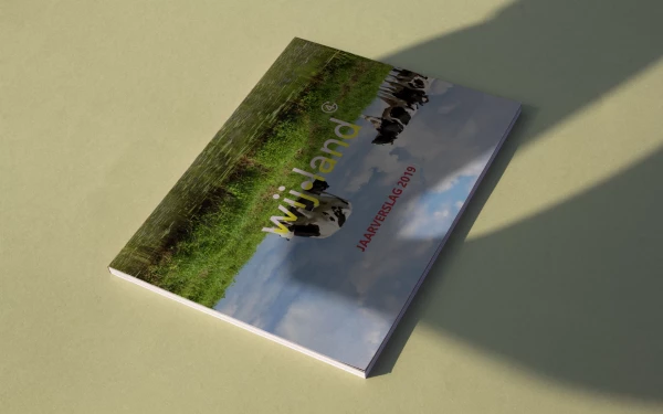De eerste kiem in een stormachtig veld